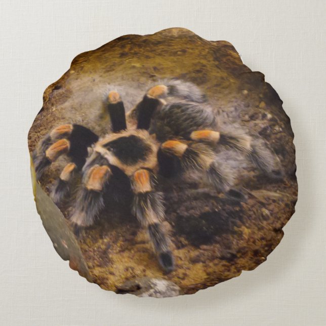Almofada Redonda Travesseiro redondo Tarantula (Verso)
