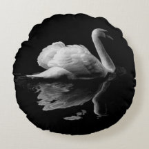 Um Cisne Branco Elegante Num Fundo Preto