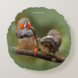 Almofada Redonda Um Par Cheiroso de Zebra Finches
