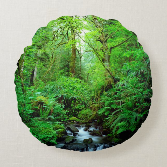 Almofada Redonda Um riacho em uma floresta primária (Frente)