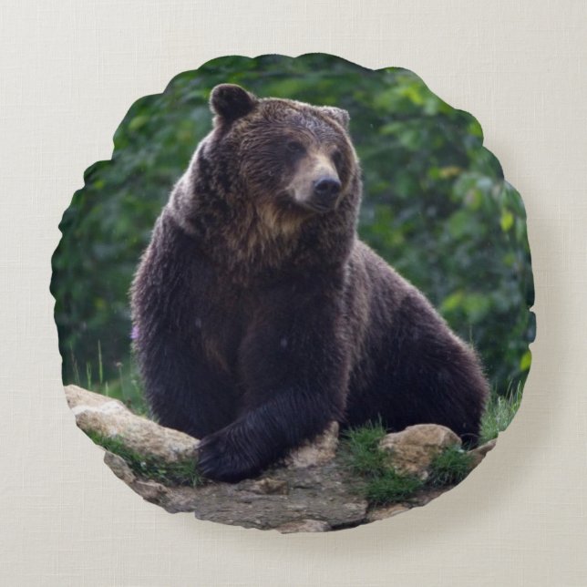 Almofada Redonda Urso de Brown (Frente)