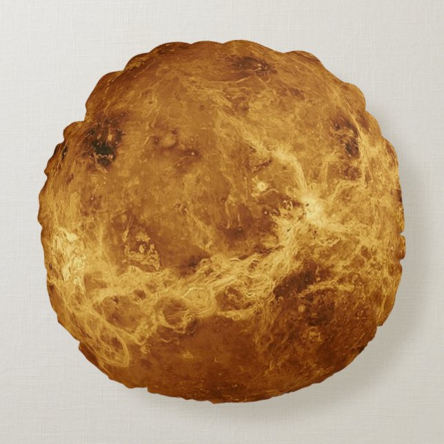 Almofada Redonda Venus Globe Travesseiro (Frente)