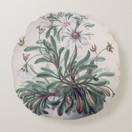 Almofada Redonda Vintage Asters em um Pote