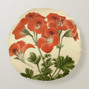 Almofada Redonda Vintage Botânica Pelargonium Grandiflorum Illustr