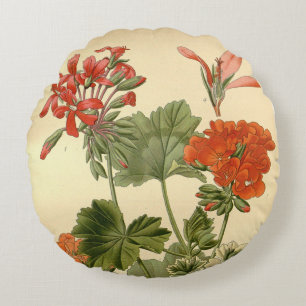 Almofada Redonda Vintage Botanical Zonal Floral Geranium Illustrati