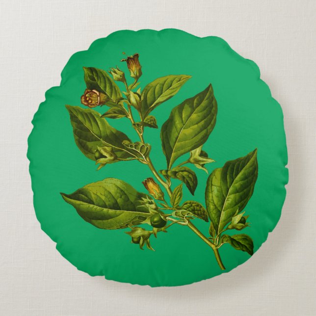 Almofada Redonda Vintage Botany Illustration Flower (Frente)