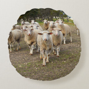 Almofada Redonda White Young Wooly Sheep,