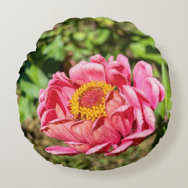 Almofada Redonda Zinnia rosa com centro amarelo (Frente)