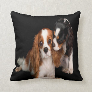 Almofada Rei Charles Cavalier Spaniel