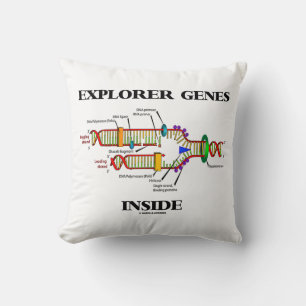 Almofada Replicação do DNA Dentro do Explorer Genes