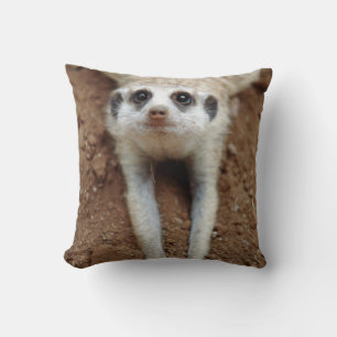 Almofada Resfriamento Meerkat (Suricata Suricatta)