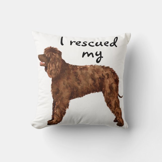 Almofada Resgate Irish Water Spaniel (Frente)