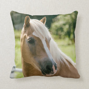 Almofada Retrato bonito do cavalo do haflinger