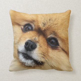Almofada Retrato de Pomeranian