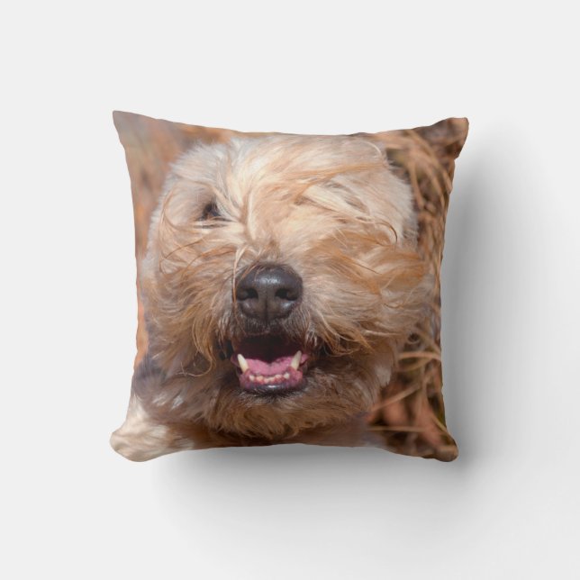 Almofada Retrato de Soft Coated Wheaten Terrier (Frente)