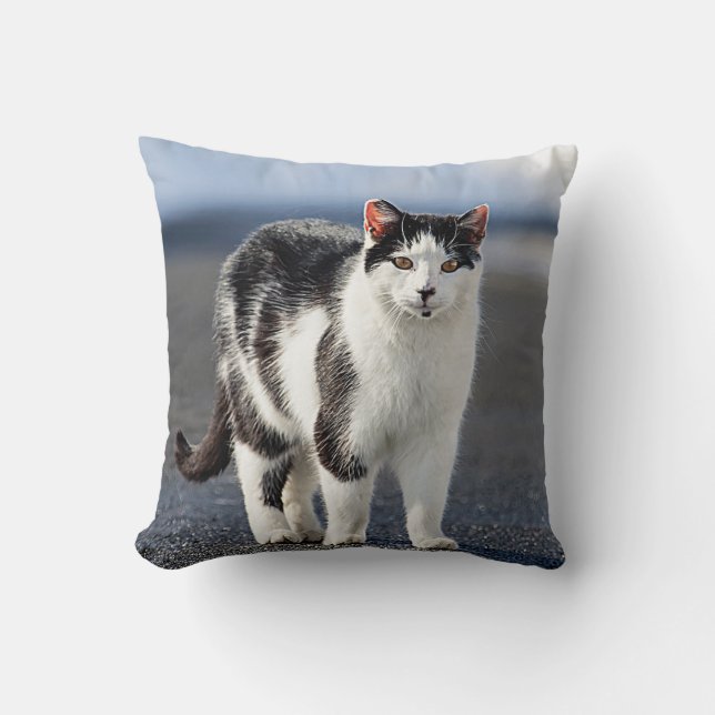 Almofada Retrato de um gato (Frente)