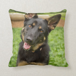 Almofada Retrato de um German shepherd
