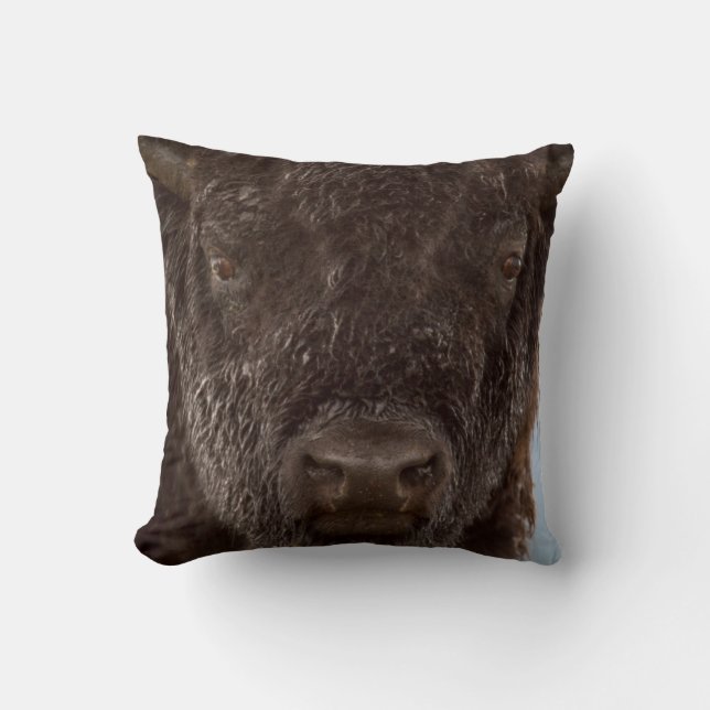 Almofada Retrato de um Touro Bisonte na Chuva (Frente)