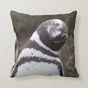 Almofada Retrato do pinguim de Magellanic
