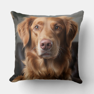 Almofada Retriever de ouro