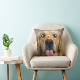 Almofada Retriever Dourado Vesgo Com Candy Corn