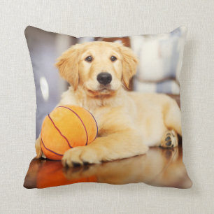 Almofada Retriever Ouro Com Brinquedo De Basquete