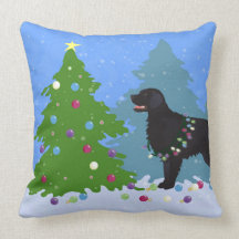 Retriever Preto Revestido Plano - Floresta de Nata