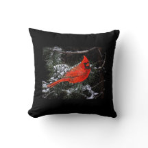 Reversible cardinal do Natal (preto)