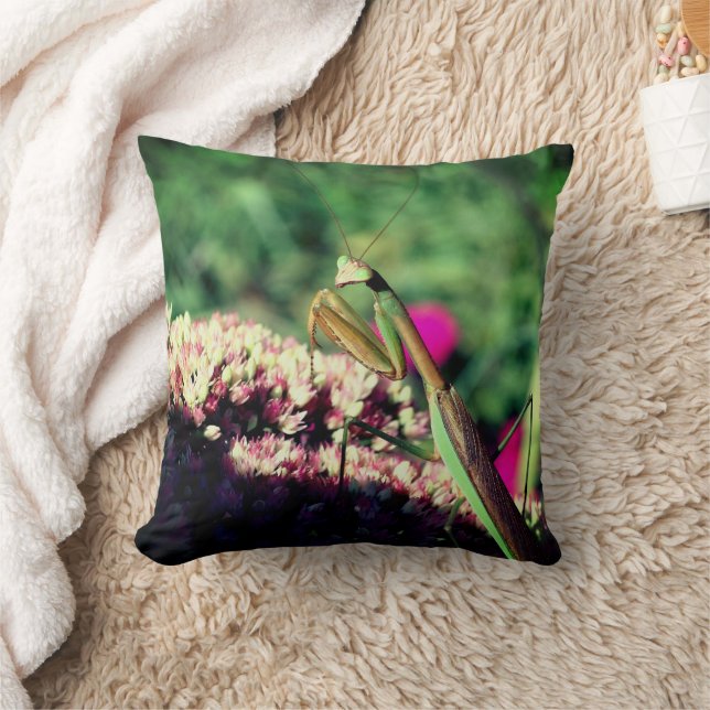 Almofada Rezando Mantis Em Sedum Flor Fechar (Cobertor)