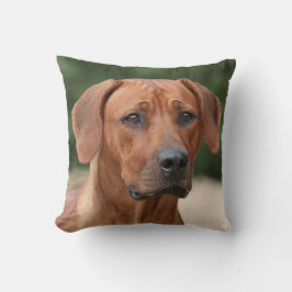 Almofada Rhodesian Ridgeback kussen