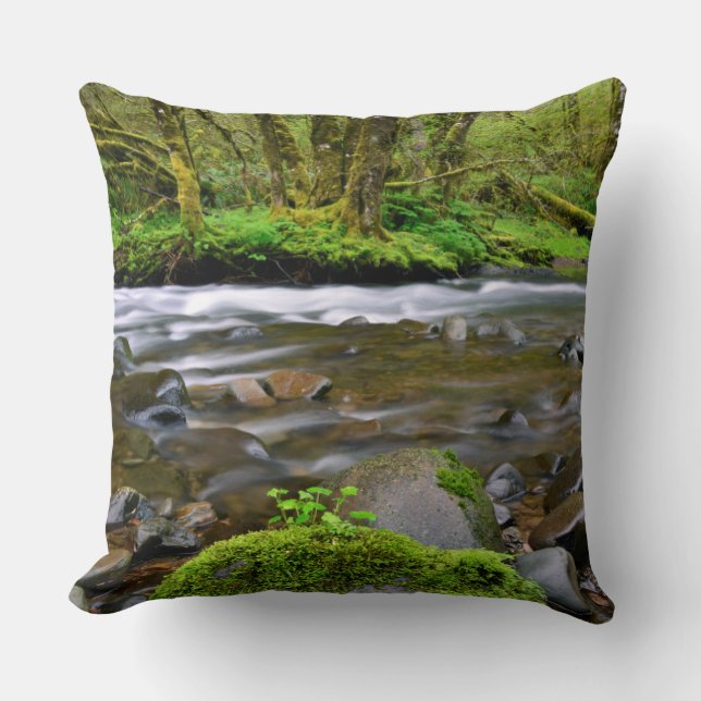 Almofada Rio em floresta verde, Oregon (Frente)
