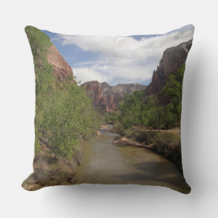 Almofada Rio Virgin em Primavera no Parque Nacional de Zion