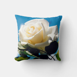 Almofada Rosa branca sob o céu azul