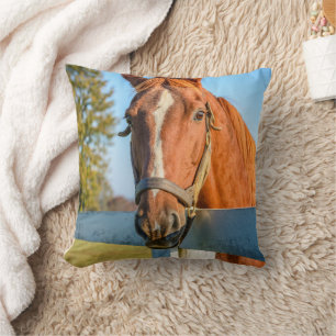 Almofada Rosa Crepuscular Cavalo de Corrida Puro-Sangue
