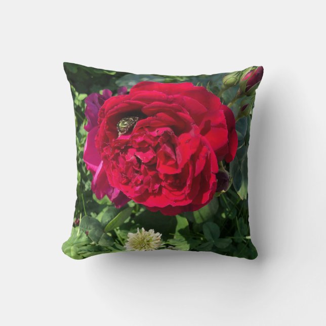 Almofada Rosa e inseto do jardim vermelho (Frente)