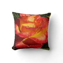 Rosa Laranja e Amarelo