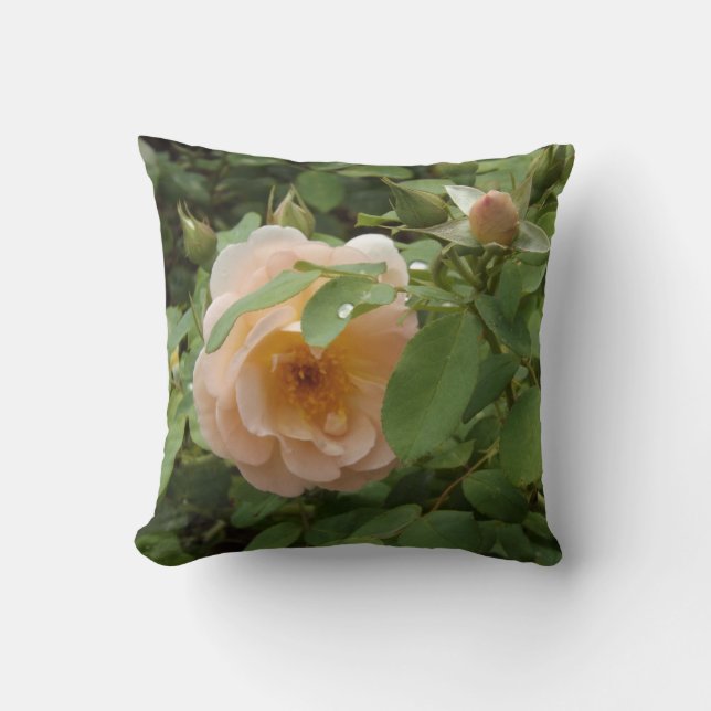 Almofada Rosa Rosa Rosa Rosa Pálida (Frente)