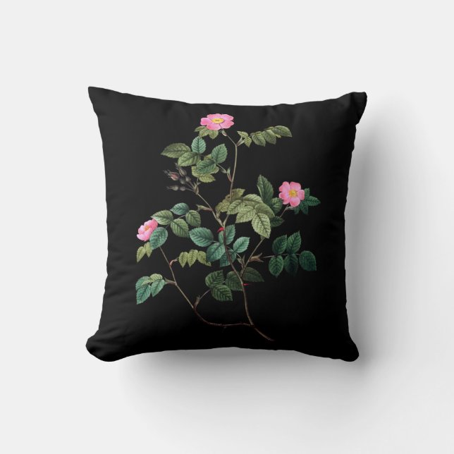 Almofada Rosa Rubiginosa (Frente)