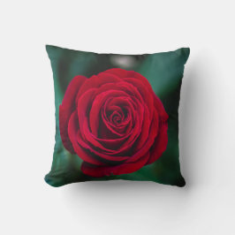 Almofada Rosa Vermelha Escura