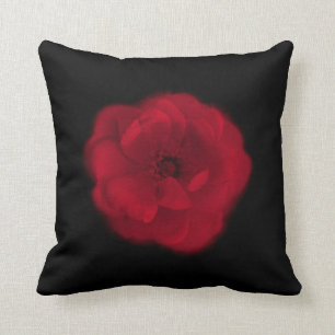 Almofada Rosa vermelha. Fundo preto
