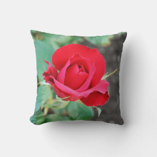 Almofada Rosa Vermelho