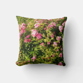 Almofada Rosas rosa na floração