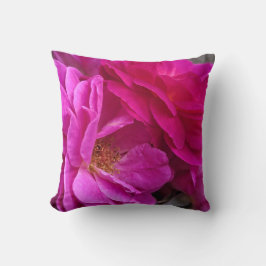 Almofada Rosas Rosas