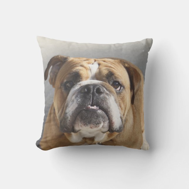 Almofada Rosto de Bulldog - Bulldog Inglês, Brown (Frente)