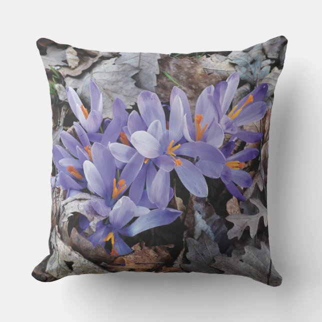Almofada Roxo Lilás Flor de Montanha Crocus (Frente)