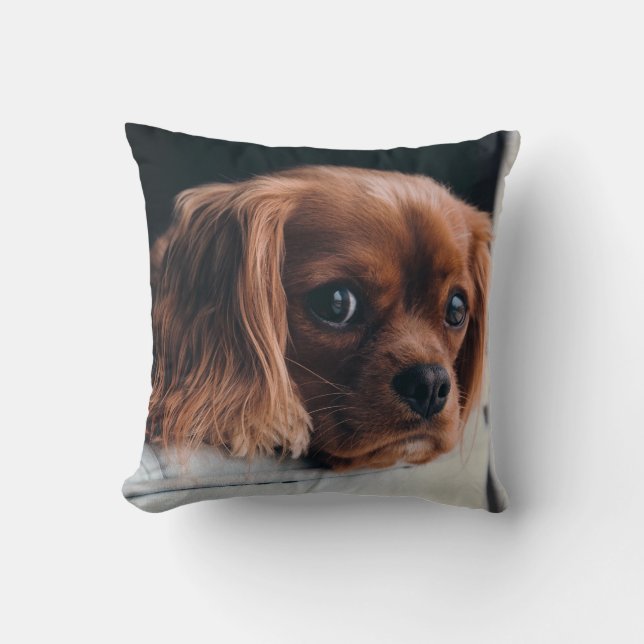 Almofada Ruby Cavalier King Charles Spaniel Dog (Frente)