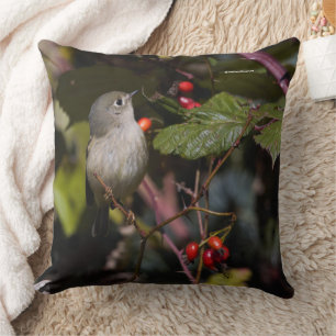 Almofada Rúby Crowned Kinglet Songbird no Hawthorn Bush