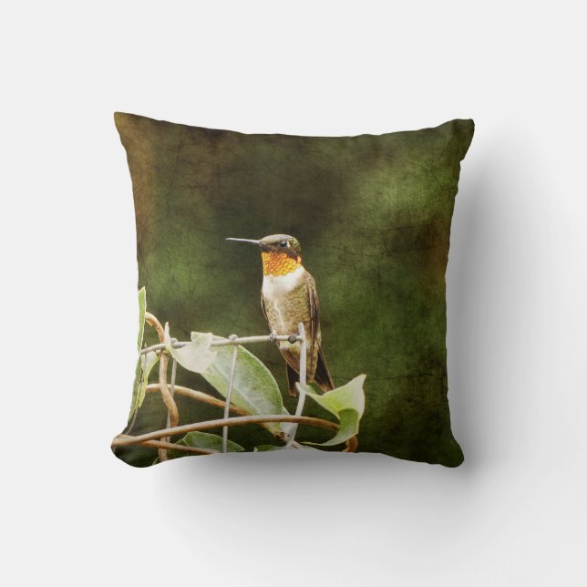 Almofada Ruby Throated Hummingbird (Frente)