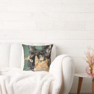 Almofada Ruby, Tortie e White, de seis anos