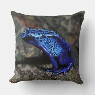 Almofada Sapo de Dart Azul, Sapo Azul Brilhante